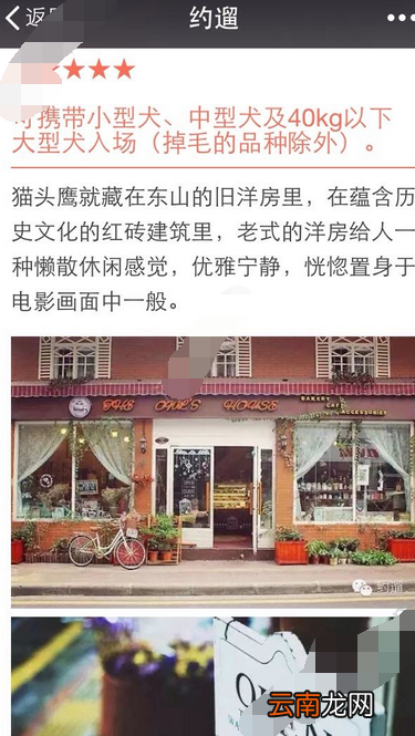 约遛app约人遛狗的基础操作