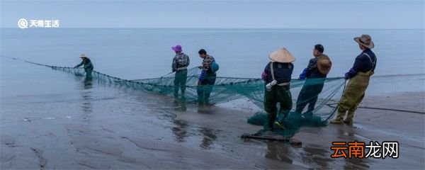 为什么捕鱼地龙能捕很多鱼 地龙怎么抓鱼的原理