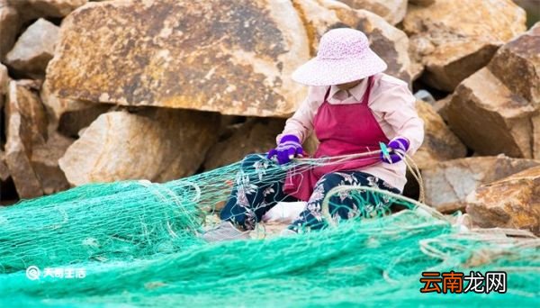 为什么捕鱼地龙能捕很多鱼 地龙怎么抓鱼的原理