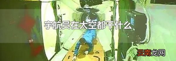 宇航员在太空都干什么