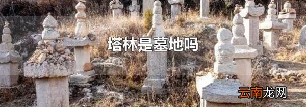 塔林是墓地吗