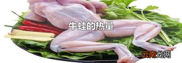 牛蛙的热量