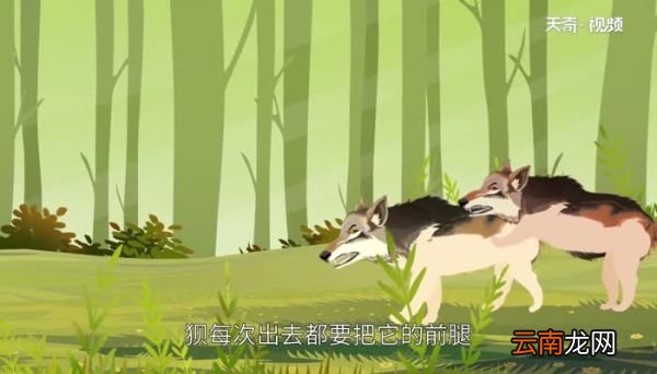 狼狈为奸的故事 狼狈为奸的意思