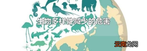 生物多样性减少的危害