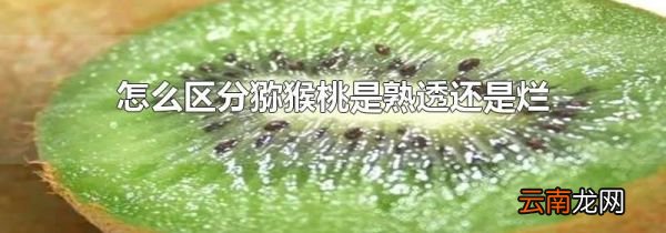 怎么区分猕猴桃是熟透还是烂