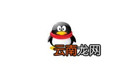 在qq里找到福袋的简单操作