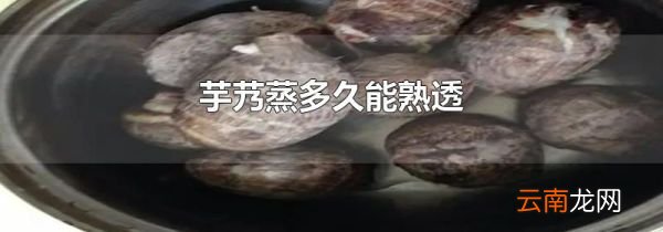芋艿蒸多久能熟透