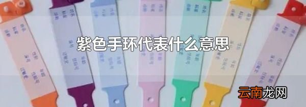 紫色手环代表什么意思