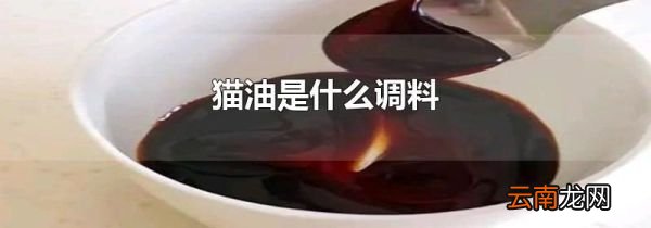 猫油是什么调料