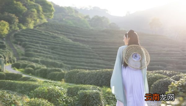 说某人白月光什么意思 白月光什么意思
