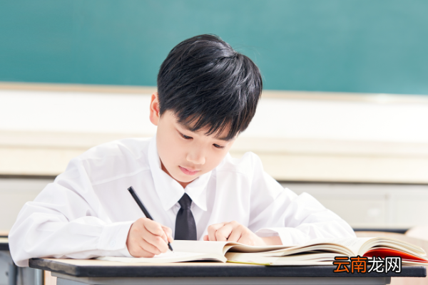 小学生上网的坏处有哪些小学生经常上网的害处