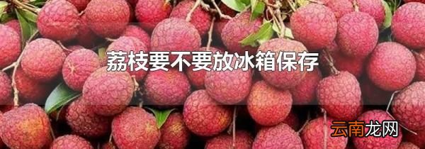 荔枝要不要放冰箱保存