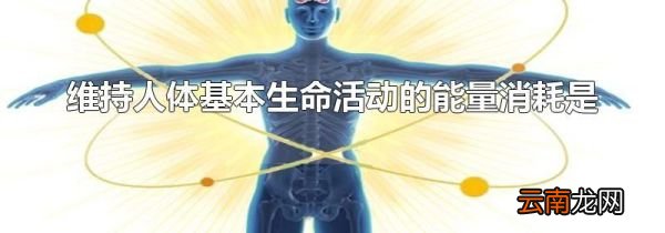 维持人体基本生命活动的能量消耗是