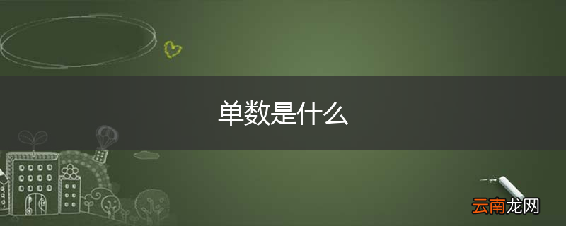 单数是什么
