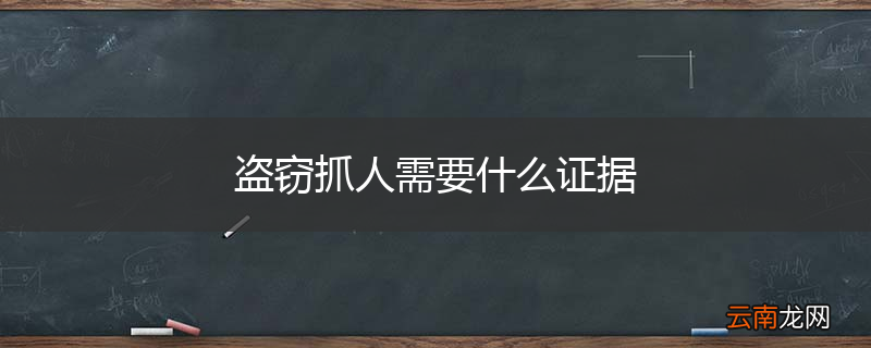 盗窃抓人需要什么证据