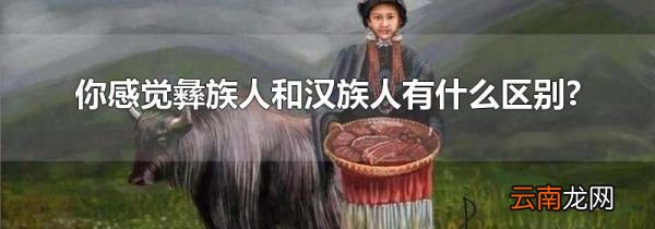 你感觉彝族人和汉族人有什么区别?