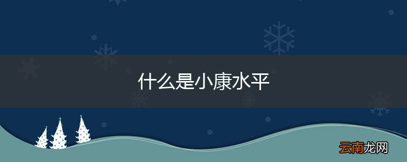 什么是小康水平