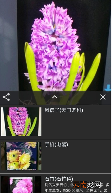 拍照识花APP的使用过程讲解