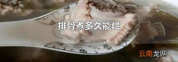 排骨煮多久能烂