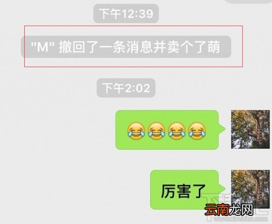 微信显示撤回了消息并亲你一下怎么玩 微信聊天怎么显示撤回了一条消息并卖了个萌
