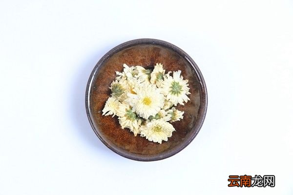 贡菊的功效与作用 贡菊有什么好处