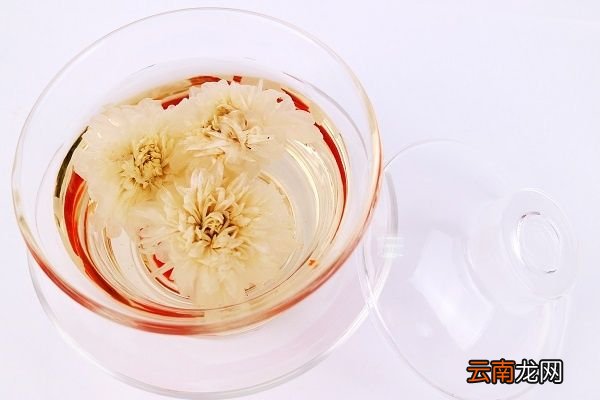 贡菊的功效与作用 贡菊有什么好处