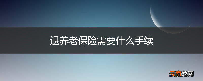 退养老保险需要什么手续