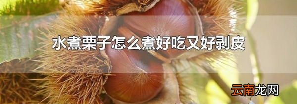 水煮栗子怎么煮好吃又好剥皮