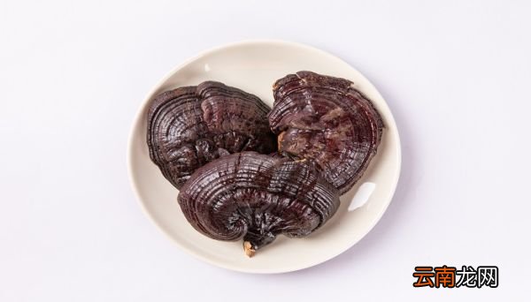 灵芝怎么吃 灵芝正确吃法