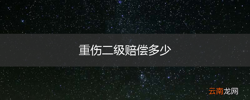 重伤二级赔偿多少