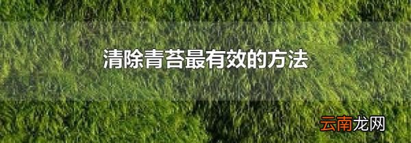 清除青苔最有效的方法