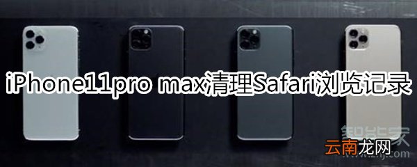 iPhone11pro max怎么清理Safari浏览记录