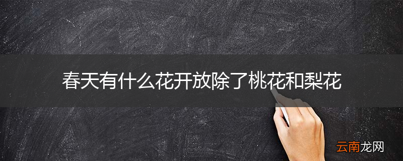 春天有什么花开放除了桃花和梨花
