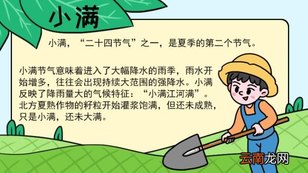 小满手抄报内容 小满手抄报内容画法