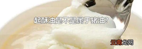 起酥油是不是属于猪油?
