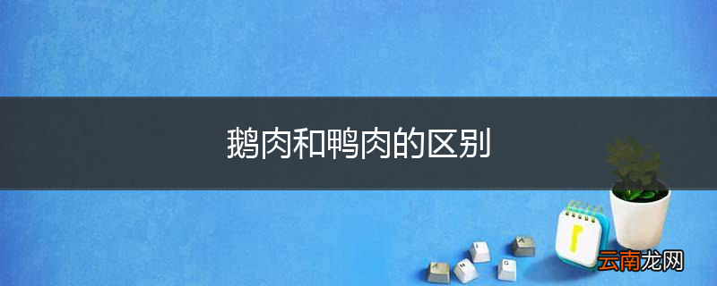 鹅肉和鸭肉的区别