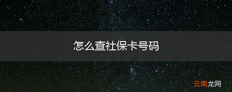 怎么查社保卡号码