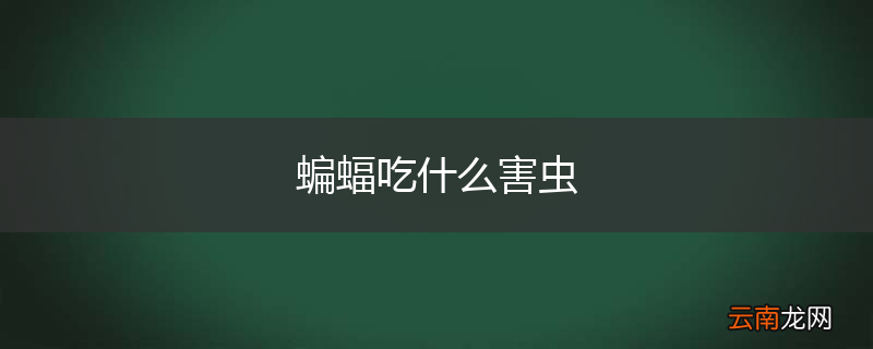 蝙蝠吃什么害虫