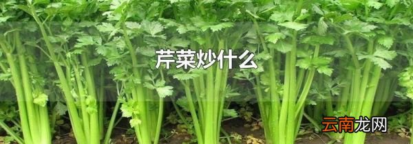 芹菜炒什么