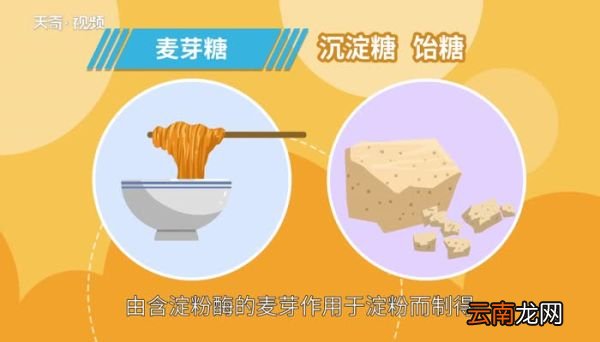 麦芽糖是什么 什么是麦芽糖