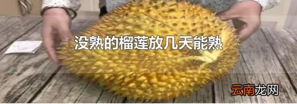 没熟的榴莲放几天能熟