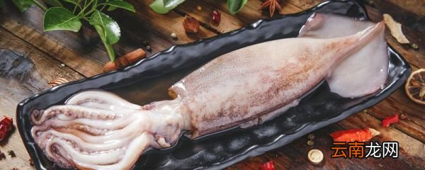 干鱿鱼怎样泡发 干鱿鱼如何泡发