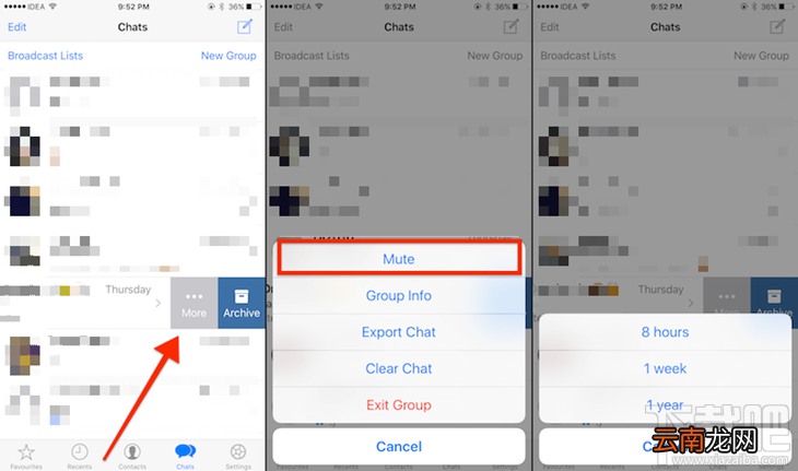 Whatsapp用户必学10个技巧 iOS版whatsapp使用技巧汇总