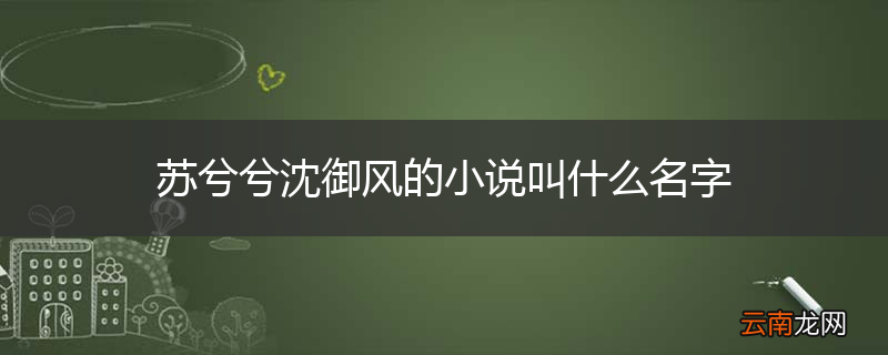 苏兮兮沈御风的小说叫什么名字