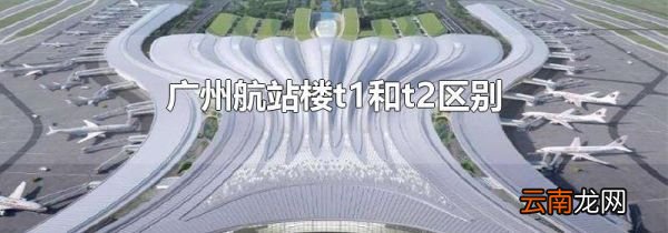广州航站楼t1和t2区别