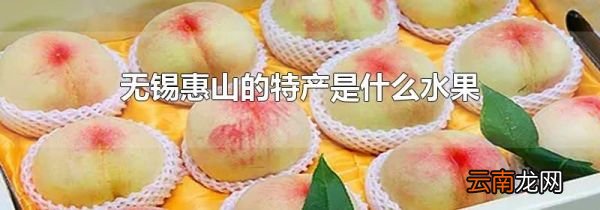 无锡惠山的特产是什么水果