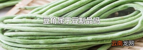 豆角属于豆制品吗