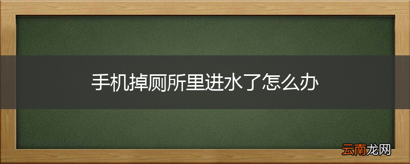 手机掉厕所里进水了怎么办
