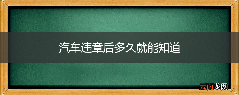 汽车违章后多久就能知道
