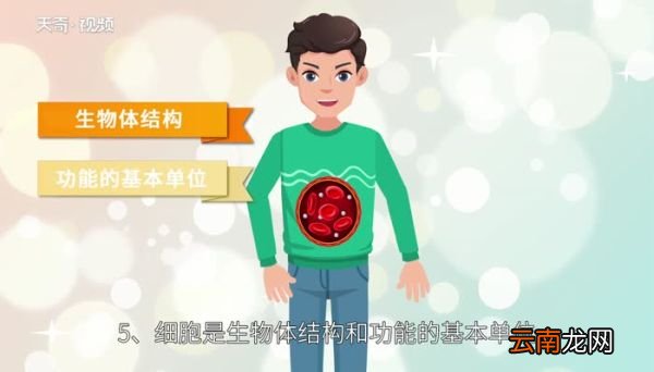 细胞学说的内容是什么细胞学说的主要内容